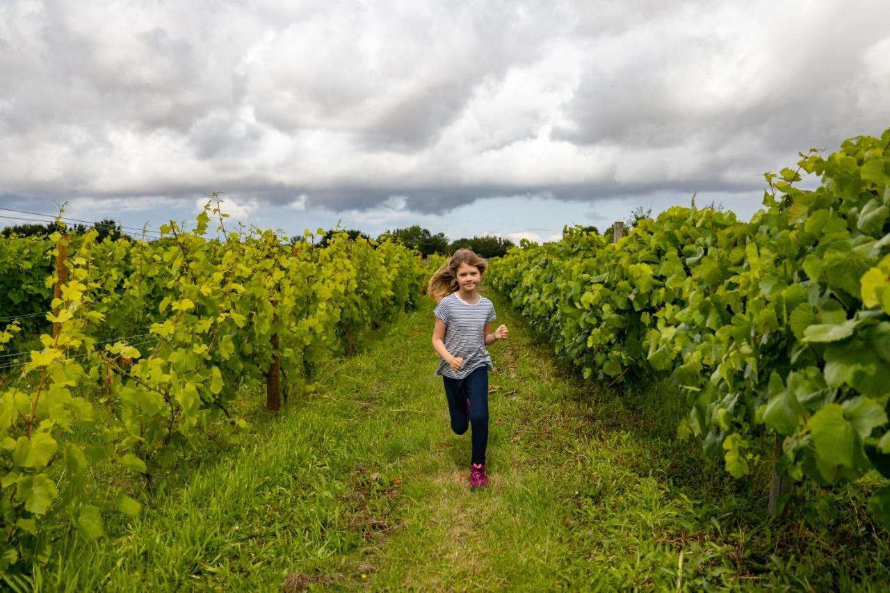 *New* Hartest Vineyard 2 Bed Cottage With Parking 外观 照片
